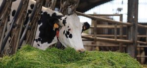 France : l’Etat va prendre en charge 40% des coûts de raccordement du Biogaz
