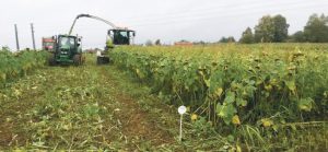 Le digestat, ce fertilisant issu de la méthanisation idéal pour l’agriculture