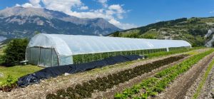 GRDF et WWF nouent un partenariat pour développer le biogaz durable