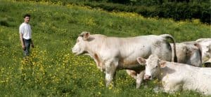 Alimenter des communes en gaz naturel à partir de biométhane, le pari réussi de deux frères agriculteurs