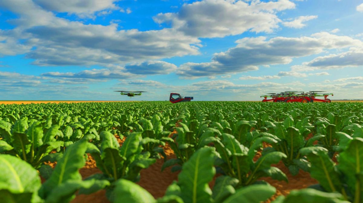 « La France ne pliera jamais » : le plan audacieux pour dominer la production de sucre face aux défis climatiques et énergétiques en Europe Illustration de la production française de sucre et des défis environnementaux, créée par intelligence artificielle.