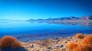 Illustration de la Salton Sea, un lac californien devenu symbole de crise environnementale en raison de sa toxicité croissante.