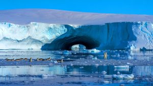 Illustration de la formation d'une immense polynie dans la banquise antarctique.