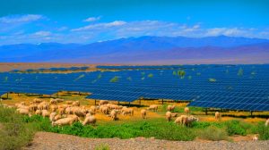 Illustration de la transformation écologique d'une région aride grâce à une ferme solaire en Chine.