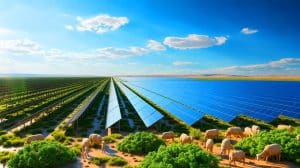 Illustration de la transformation écologique d'une région désertique par une ferme solaire en Chine.