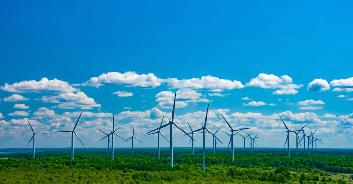 « J’ai alimenté ma maison avec 650 batteries usagées » : son système bricolé à partir d’ordinateurs portables bluffe les experts environmental technology innovation