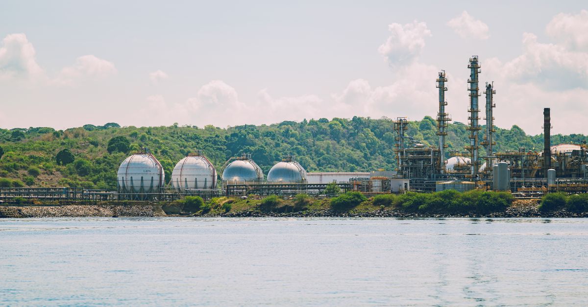 France : le plan pour atteindre 100% de biogaz en 2050 natural gas energy industry